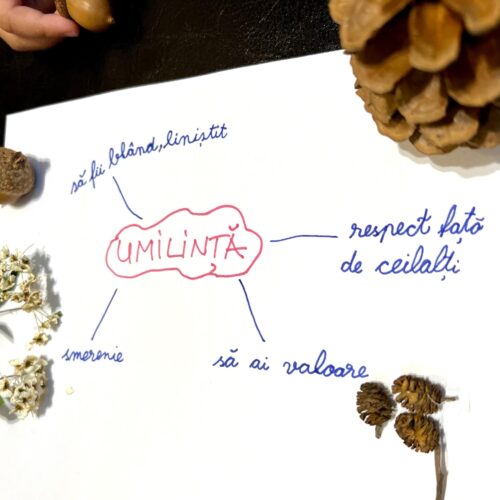 Fișă pentru observarea florei spontane