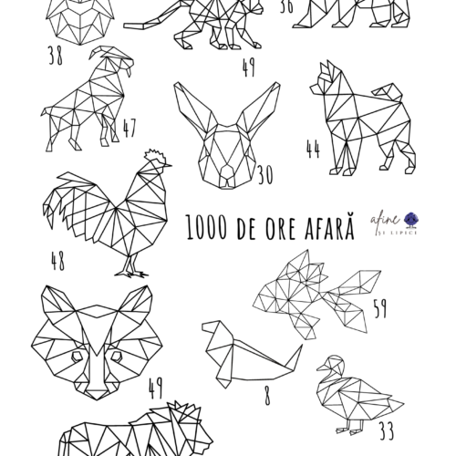 Îmbrățișează natura: Provocarea 1000 de ore afară. Foaie de urmărit